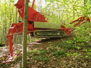 Arbeitsbühne KT 31 19 im Wald