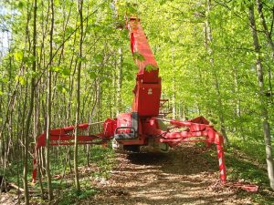 Baumbeschnitt bis 31 m Höhe