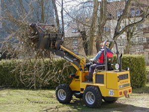 Abtransport des Baumbeschnitts