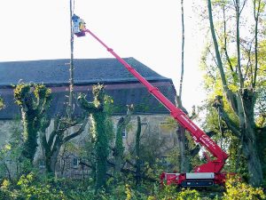 Baumbeschnitt im Wald bei Gefälle